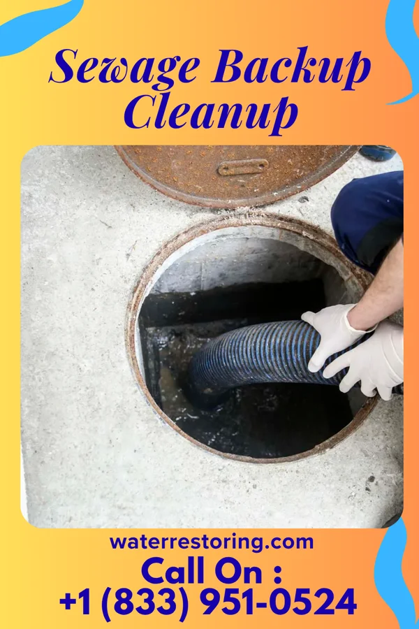 Sewage Backup Cleanup in Falmouth Foreside, ME